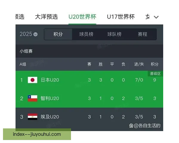 读秒绝杀震动亚洲伊朗亚洲杯四分之一决赛逆转日本晋级四强传奇夜